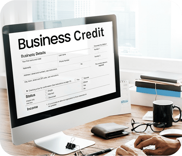 Instant Access to BizzFunder Business Credit Tool
